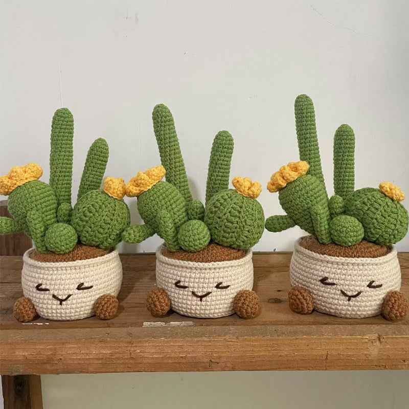 Handmade flower potted plant woven cactus wool small potted plant creative home potted plant ornaments