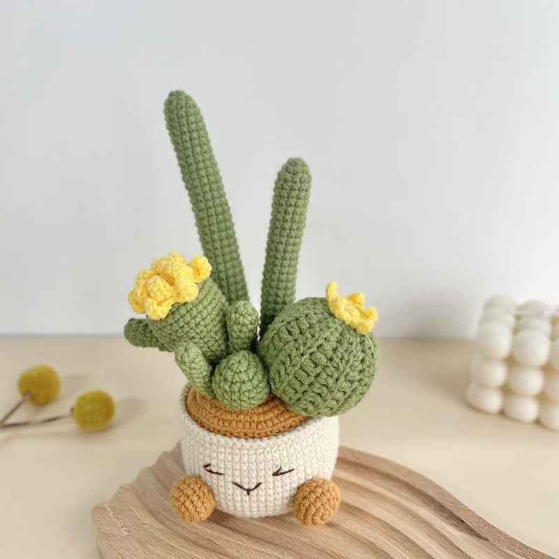Handmade flower potted plant woven cactus wool small potted plant creative home potted plant ornaments
