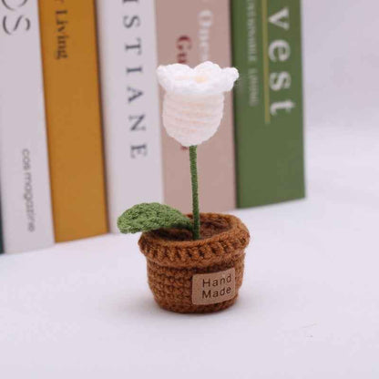 Handmade Crochet Wool Flower Mini Potted Plant Weaving finished product